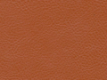 small_shop_items_catalog_image1805