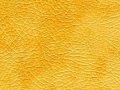 beige_gold_resize