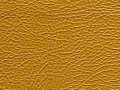 gold_resize