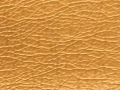 rainbow-gold