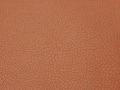 09-orangefruit-q581-1