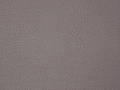 11-orchid-h555-1