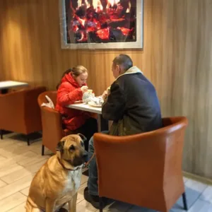 Кресло Клуб Кресло для кафе Клуб