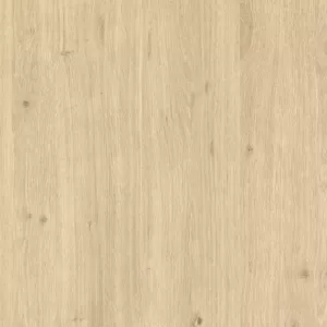 Столешница 600*600 королевский дуб Дуб королевский