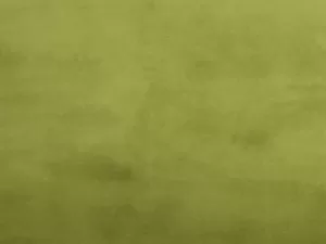 Велюр Delux с водоотталкивающим эффектом